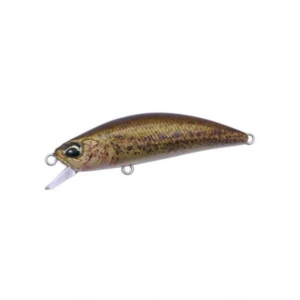 Duo Spearhead Ryuki 50F 5cm 2,8gr CCCZ214 RP Loach Leurre flottant