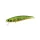 Duo Spearhead Ryuki 71S 7,1cm 10gr ADA4059 Green Gold OB Leurre coulant
