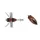 Duo Realis Shinmushi 4,0cm 5,7gr CCC3219 Beetle Leurre Insecte