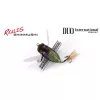 Duo Realis Shinmushi 4,0cm 5,7gr CCC3219 Beetle Leurre Insecte