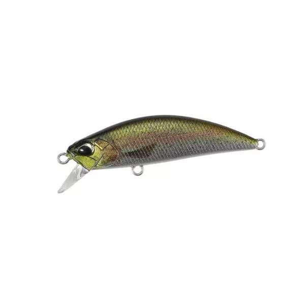 Duo Spearhead Ryuki 50S 5cm 4,5gr CCC3836 Rainbow Trout ND Leurre coulant