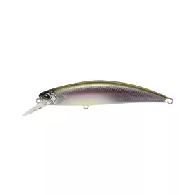  Duo Spearhead Ryuki 70SP 7cm 4,1gr CRA3061 Komochi Wakasagi Leurre Flottant