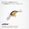 Evergreen Wildhunch 5,2cm 9,6gr #260 Morizo Bone Leurre