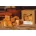 Wood2Smoke grill és bbq