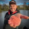 Fjuka Sensate™ Powder Fish Accelerant Activateur de poisson Poudre attractante Rouge 100gr