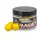 Anaconda Magist Balls 16mm Scopex-Vanília Pop Up 50gr
