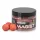 Anaconda Magist Balls 16mm Eper-Krém Pop Up 50gr