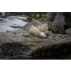 Matrix Plastic Orbit Feeder M 30gr Feeder latéral