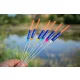 Garbolino Carp Competition Float Sp C81 - 0,3gr - Hard Skin - Inter 3,0Mm - Flotteur de compétition - Flotteur lumineux