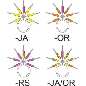   Garbolino - VISUALISEUR DE LIGNE STREAMLINE STIX - Petits articles - Butée - Butée en caoutchouc Truite
