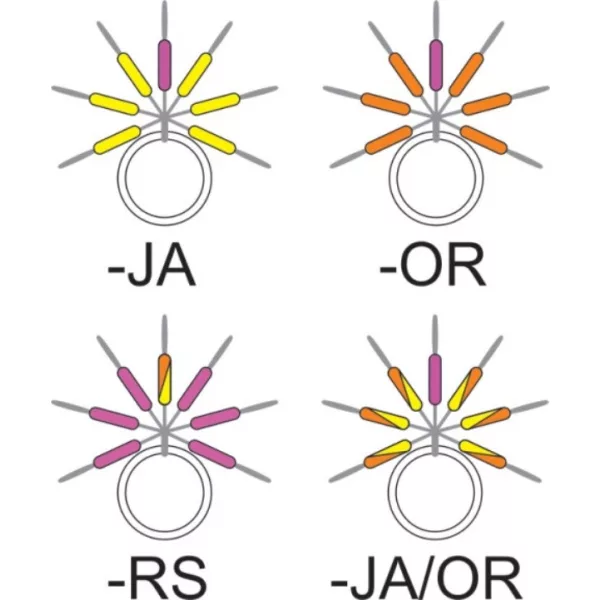 Garbolino - VISUALISEUR DE LIGNE STREAMLINE STIX - Petits articles - Butée - Butée en caoutchouc Truite