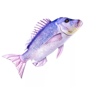 EnergoTeam The Dentex 43cm Coussin de poisson