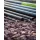 Matrix Torque Carp Section No4 Canne Roubaisienne, section