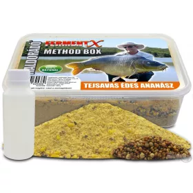 Haldorádó FermentX Method Box - Ananas Doux Lactique