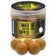 Haldorádó Max Motion Bouillette Dipped Cacahuète Espagnole 100gr 20mm Bouillette