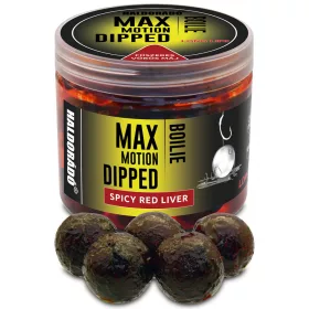   Haldorádó Max Motion Bouillette Dipped Foie Rouge Épicé 100gr 20mm Bouillette