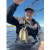 Haldorádó Catfish Rig 8 Bas de ligne à anneau d'appât pour poisson vivant pour la pêche au silure 100cm