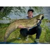 Haldorádó Catfish Rig 8 Bas de ligne à anneau d'appât pour poisson vivant pour la pêche au silure 100cm