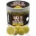 Haldorádó Max Motion Boilie Hard Hook Wafter 16, 20mm Champion Corn Boillette d'amorçage 100gr