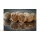 HNV Baits GLM Foie Bouillette Soluble 24mm 1kg