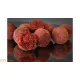 HNV Baits Milkshake Fraise Bouillette Soluble 24mm 1kg