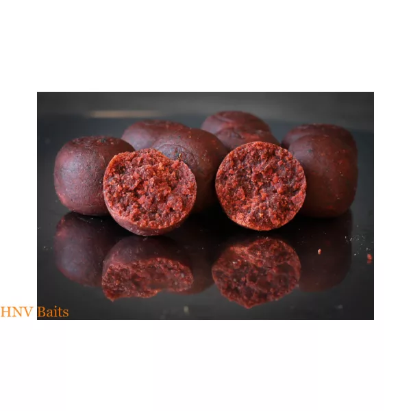 HNV Baits Red Spicy Squid 20mm Bouillette 1kg