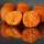 HNV Baits Fruits & Nuts Soluble Big Balls Hookbaits Appât soluble pour hameçon 30mm 165gr