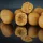 HNV Baits Sweet Nuts Soluble Big Balls Hookbaits Appât soluble pour hameçon 30mm 165gr