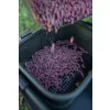 Sac à appâts Korum Eva Bait Station EVA