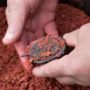 Korum Dura-method Feeder 30g Cage Method