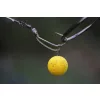Korda Kickers D Rig Marron S Aligneurs d'hameçon