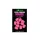 Korda Maïs IB en caoutchouc pop-up rose 10pcs