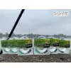 Sasame Fluoro Carbon Superfine Víztiszta 0,20mm 50m Fluorocarbon Előkezsinór