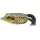 Livetarget Frog Walking Bait Émeraude/Marron 5,5cm 18gr Leurre grenouille