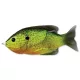 Livetarget Sunfish Walking Bait Pumpkinseed fluorescent 90mm 18g