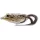Livetarget Leurre marcheur Grenouille Beige/Marron 11,7cm 25gr Imitation de grenouille