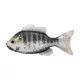 Livetarget Crapet Non Monté Blanc-Albinos 8,5cm Leurre Souple Crapet 4 pièces