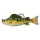 Livetarget Swimbait Perche Jaune Jaune-Vert 11,3cm 21gr Leurre en plastique