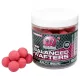 Mainline High Impact Balanced Wafter Salty Squid - 15mm - bouillette wafters