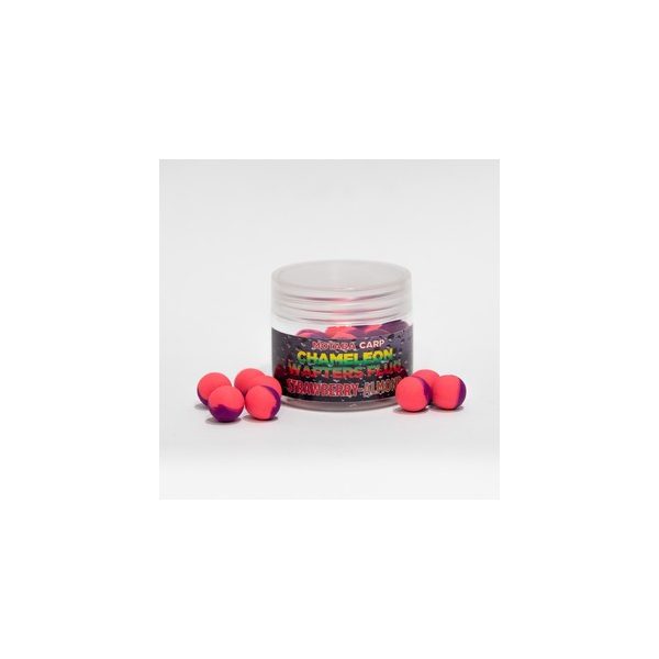 MOTABA CARPE WAFTERS CAMÉLÉON FLUO AMANDE FRAISE 8 MM 30G - Appâts pour hameçons - Wafters