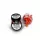 EA Dual Wafter 10g Orange-Cannelle 9mm