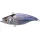Megabass CutVib 55 HW 5,5cm 10gr LZ Hiiragi Wobbler
