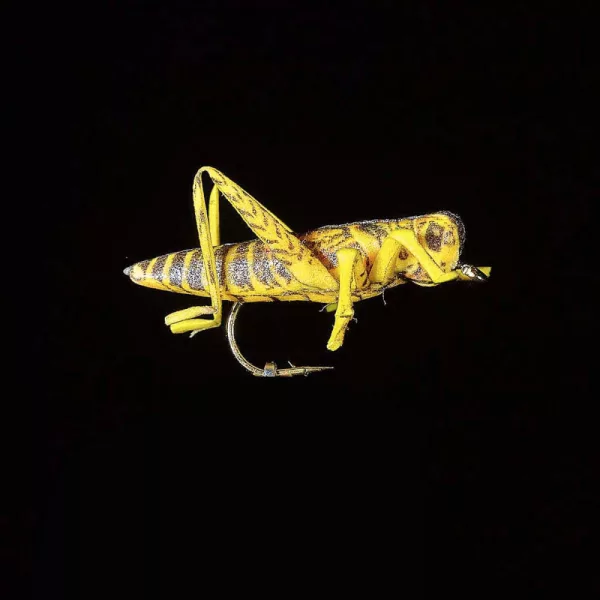 JMC Sauterelle 22 H8 - PCB 6 mouche artificielle