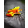 Fox Rage Slick Pelagic Heads Lemon Tiger 25gr Tête plombée