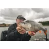 Fox Rage Scent Shads Bulk Nat Wakasagi 9cm Leurre souple