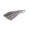 Fox Rage Scent Shads Bulk Electric Flash 9cm Leurre souple