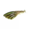 Fox Rage Scent Shads Bulk Green Pumpkin 9cm Leurre souple