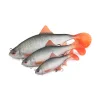 Fox Rage Ultra Realistic Roach Replicant Leurre Souple Gardon 14cm 45gr