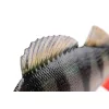 Fox Rage Ultra Réaliste Perch Replicant Leurre en plastique Perche 10cm 22gr