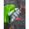 Fox Rage Ultra Réaliste Perch Replicant Leurre en plastique Perche 10cm 22gr